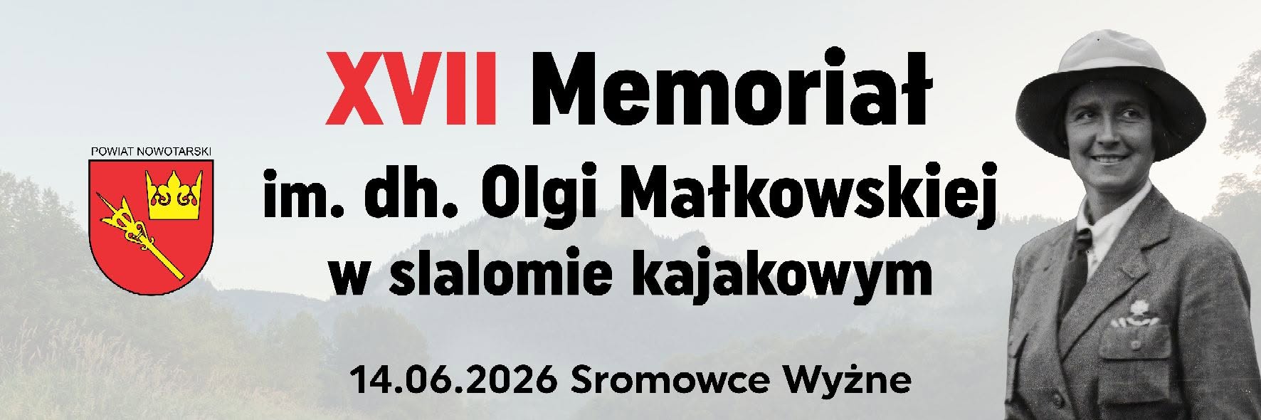 ikona